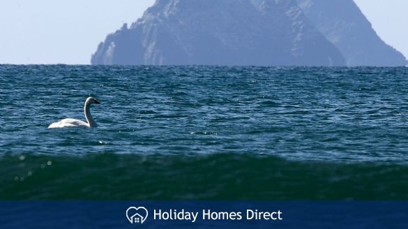 Skellig Islands 