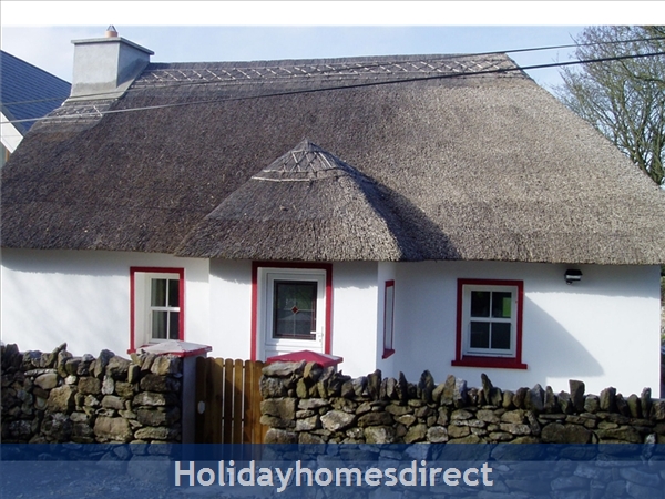 Ballinacourty Thatch Cottage